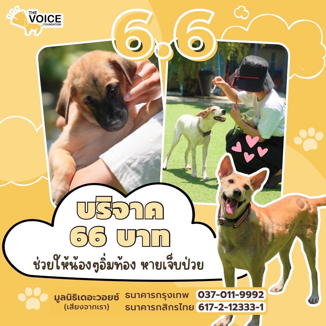 เก๋ - ชลลดา เมฆราตรี