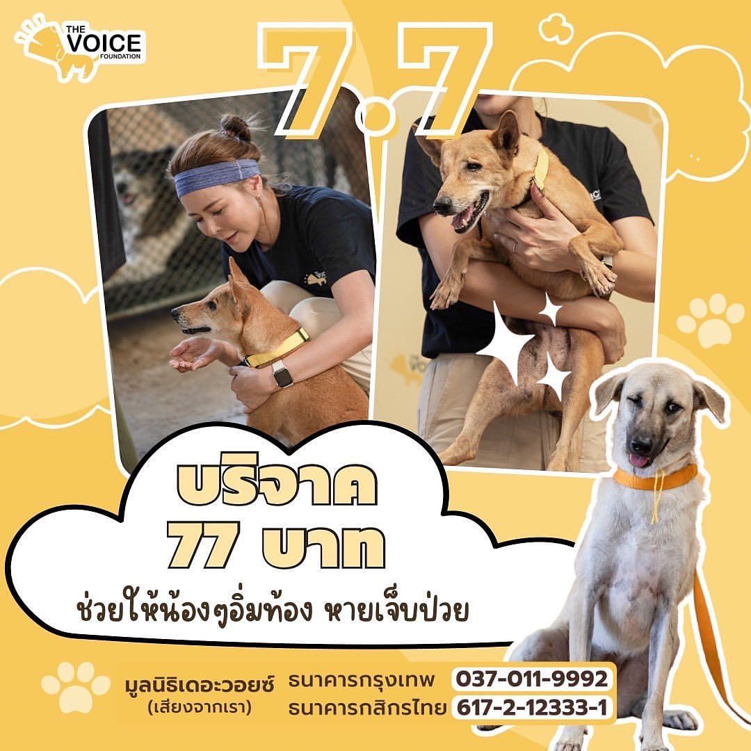 เก๋ - ชลลดา เมฆราตรี
