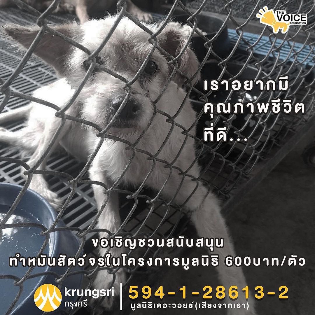 เก๋ - ชลลดา เมฆราตรี
