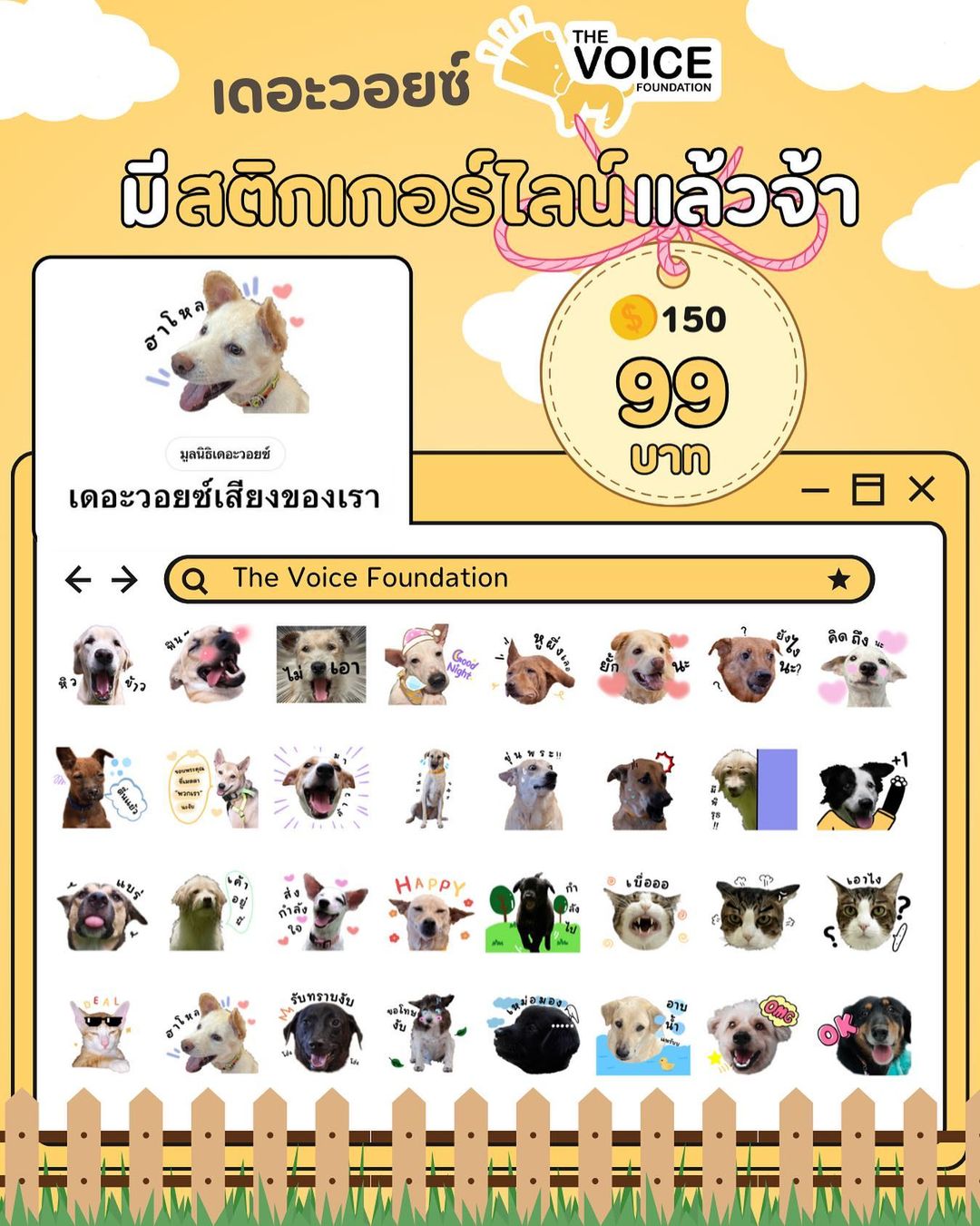 เก๋ - ชลลดา เมฆราตรี