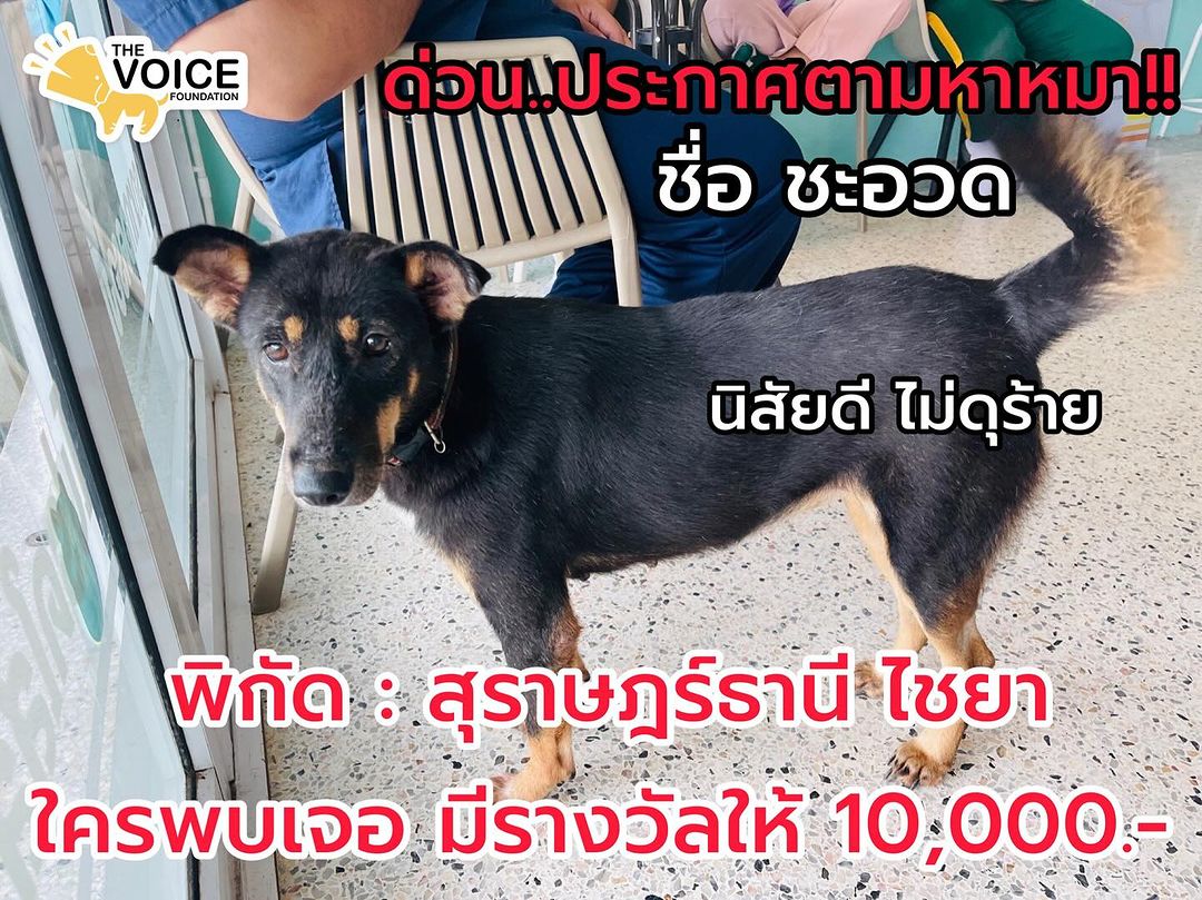 เก๋ - ชลลดา เมฆราตรี
