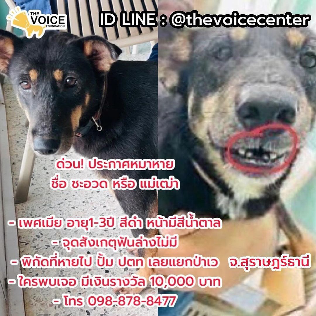 เก๋ - ชลลดา เมฆราตรี