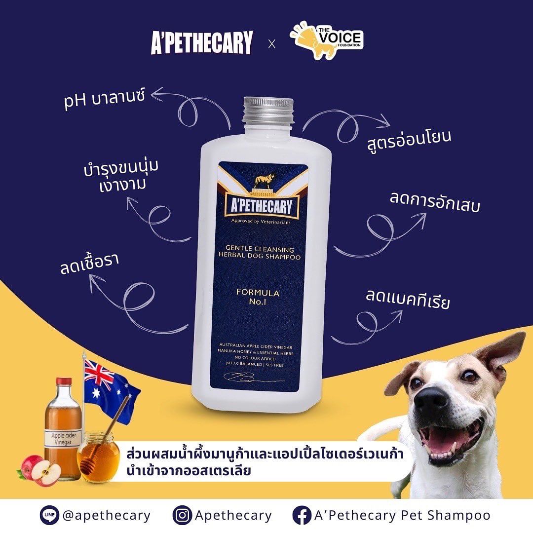 เก๋ - ชลลดา เมฆราตรี