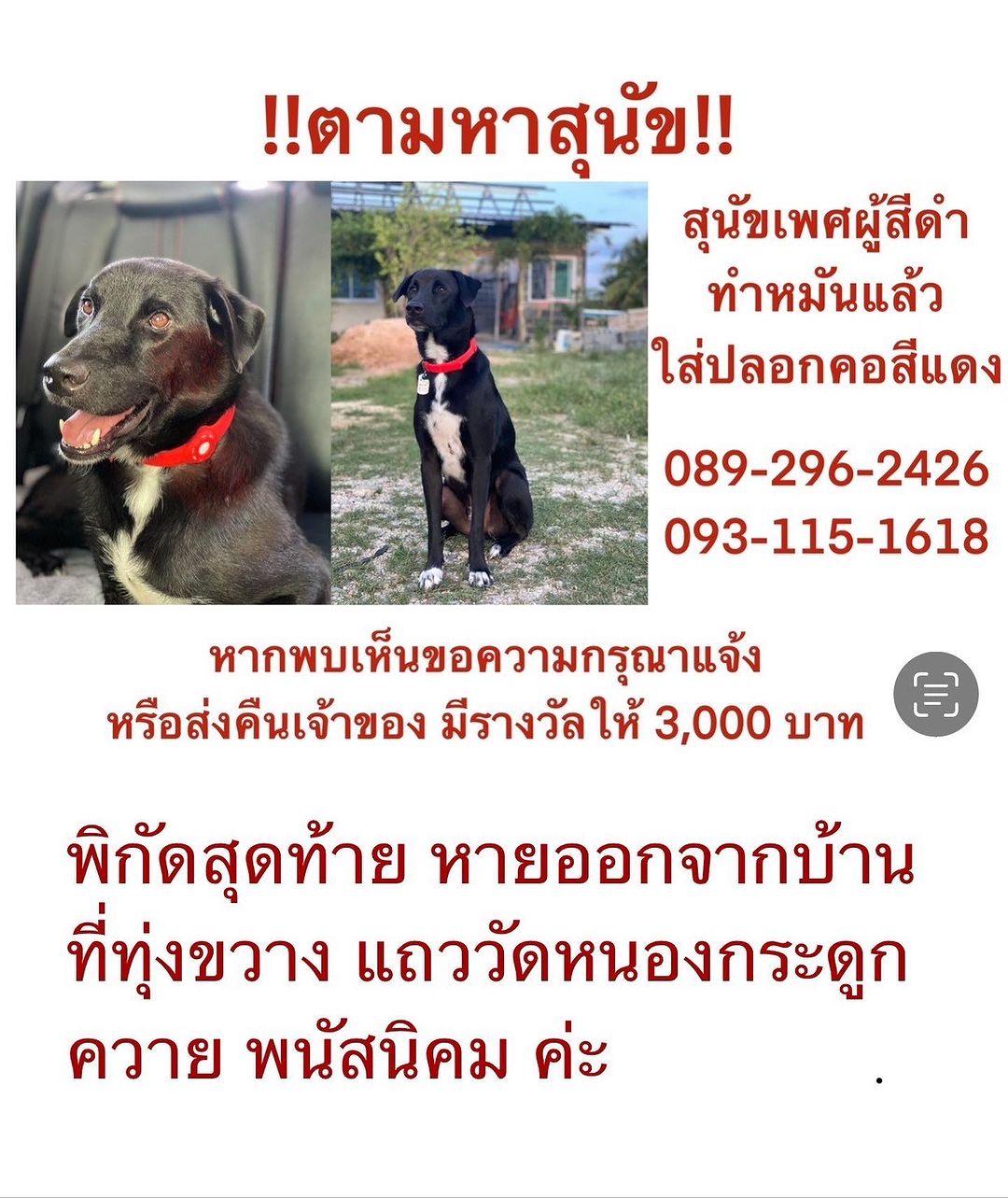 เก๋ - ชลลดา เมฆราตรี