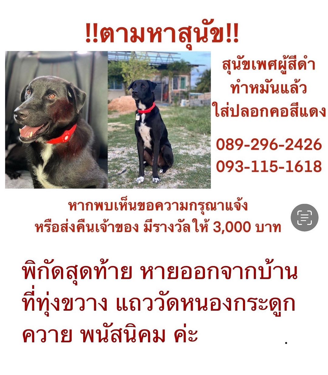 เก๋ - ชลลดา เมฆราตรี