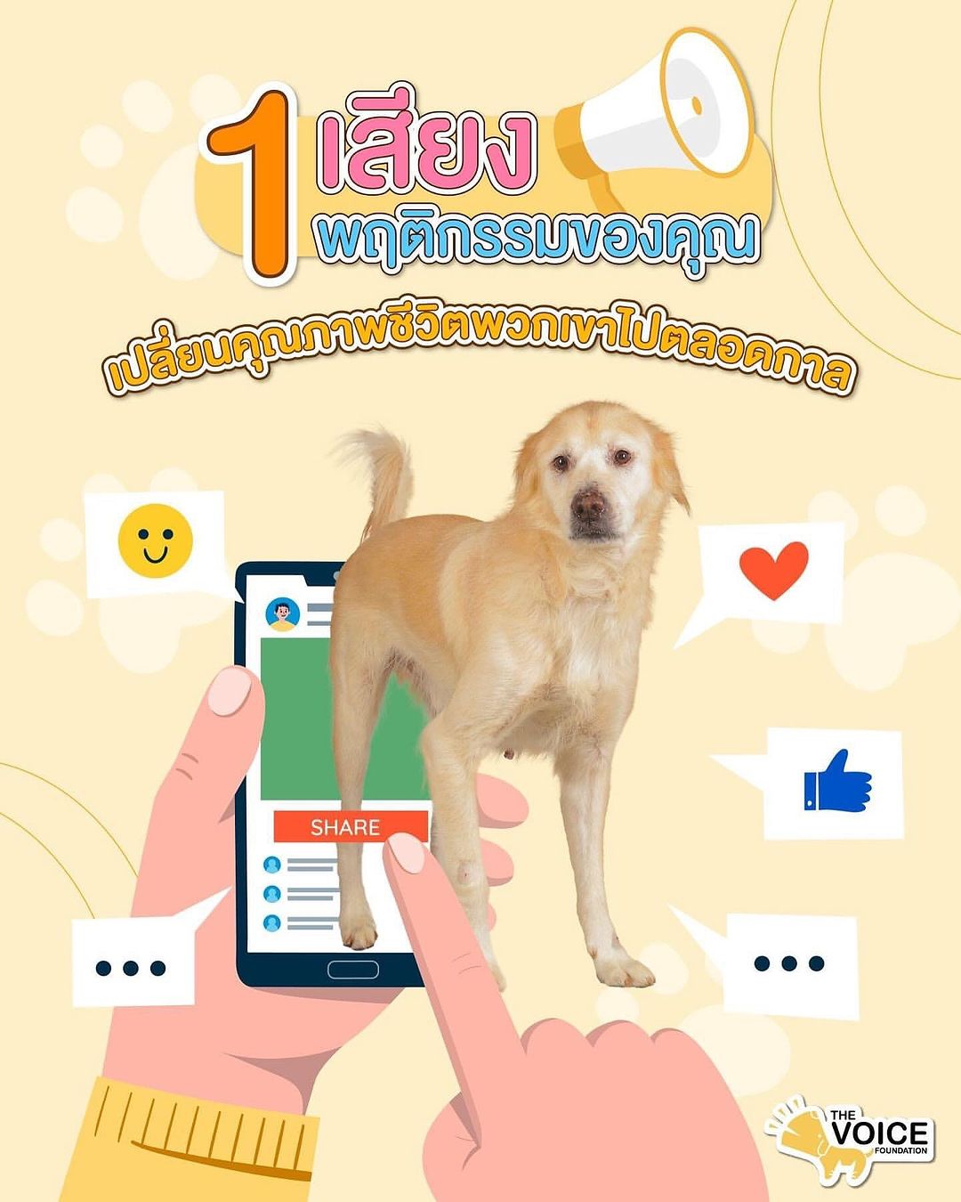 เก๋ - ชลลดา เมฆราตรี