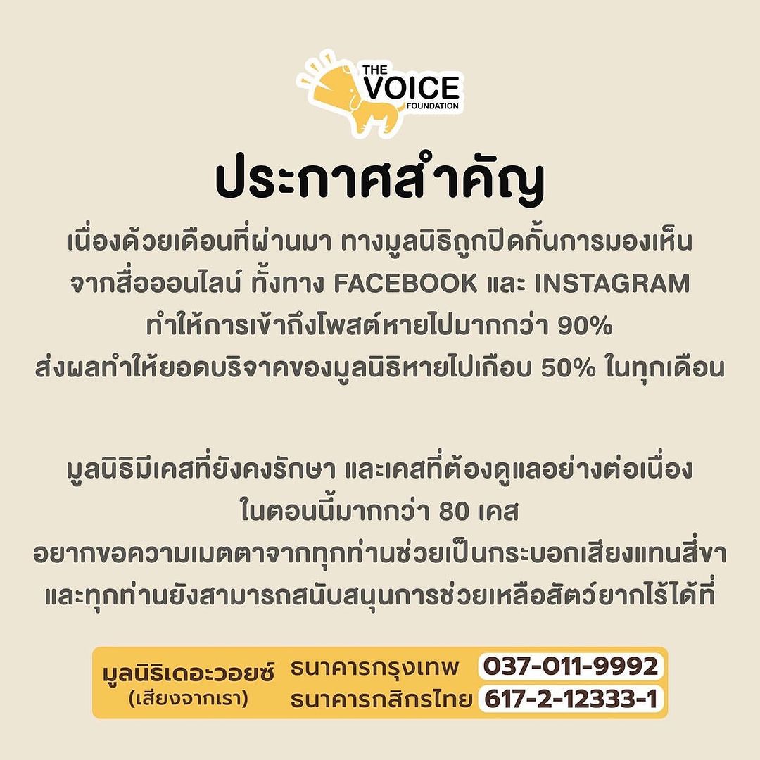 เก๋ - ชลลดา เมฆราตรี