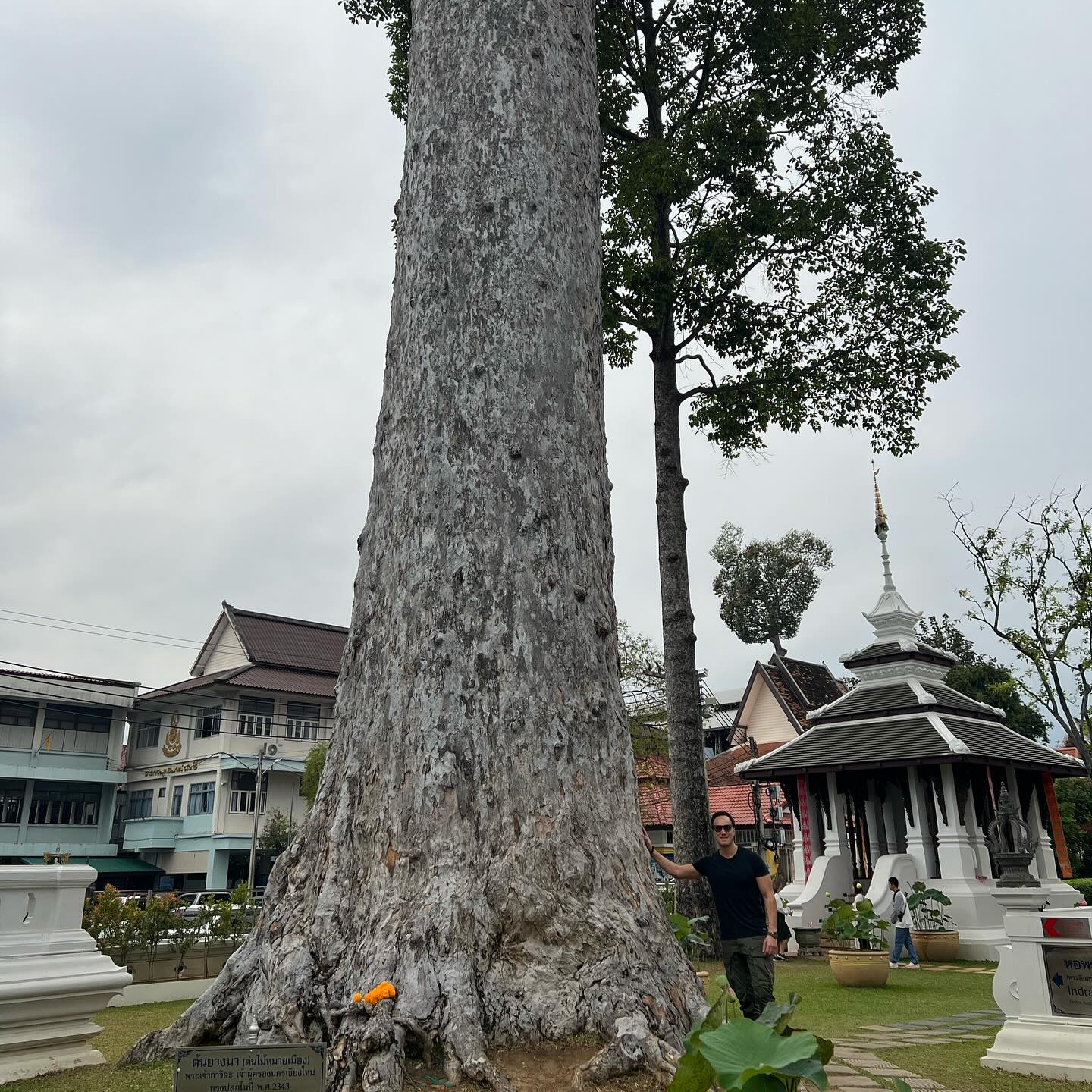 เก๋ - ชลลดา เมฆราตรี
