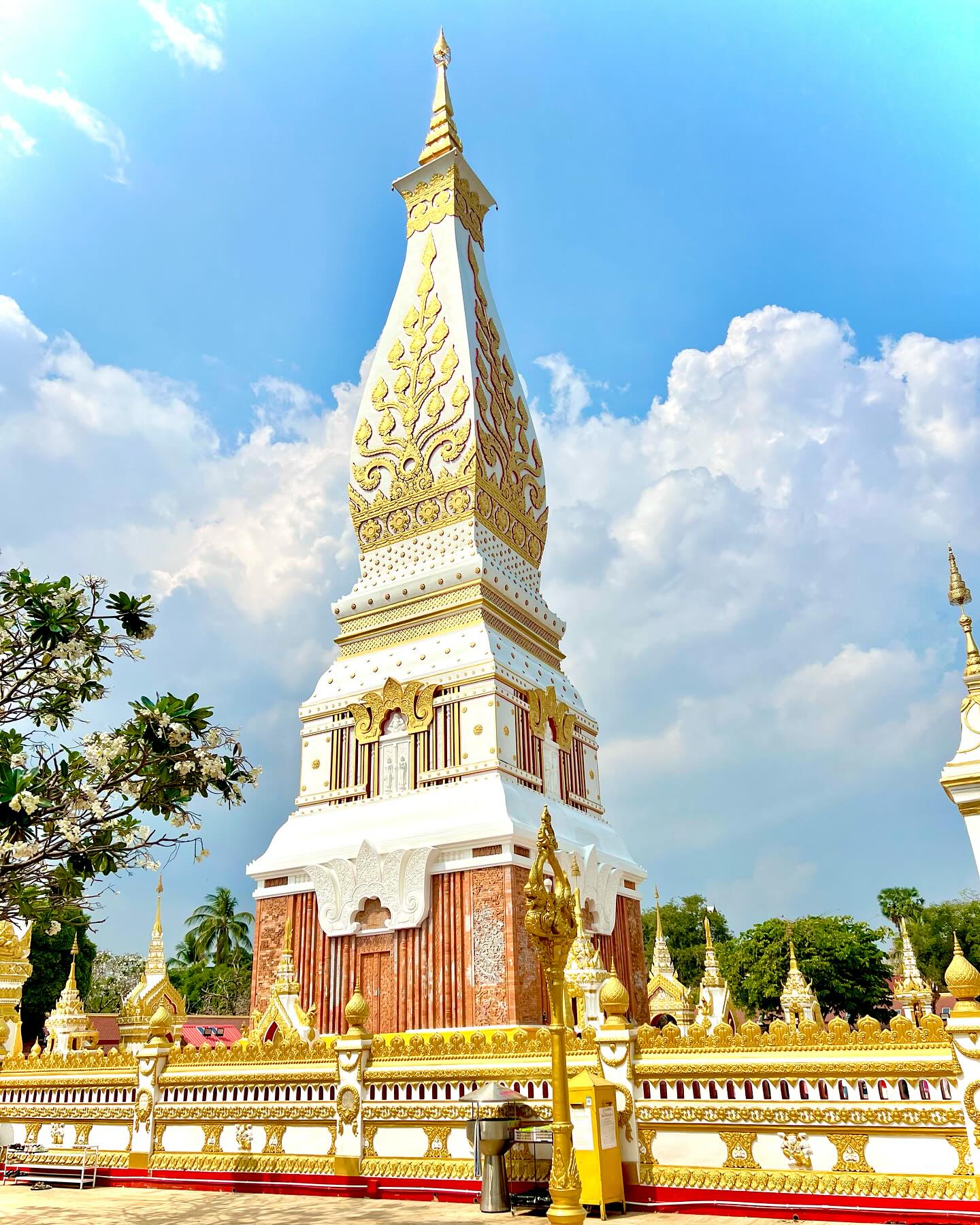 เก๋ - ชลลดา เมฆราตรี