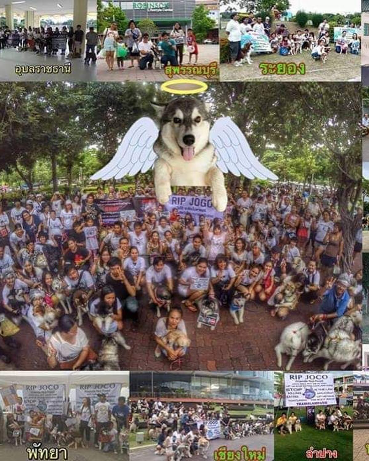เก๋ - ชลลดา เมฆราตรี