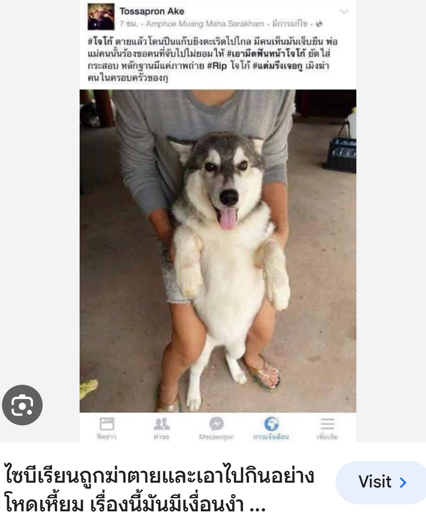 เก๋ - ชลลดา เมฆราตรี