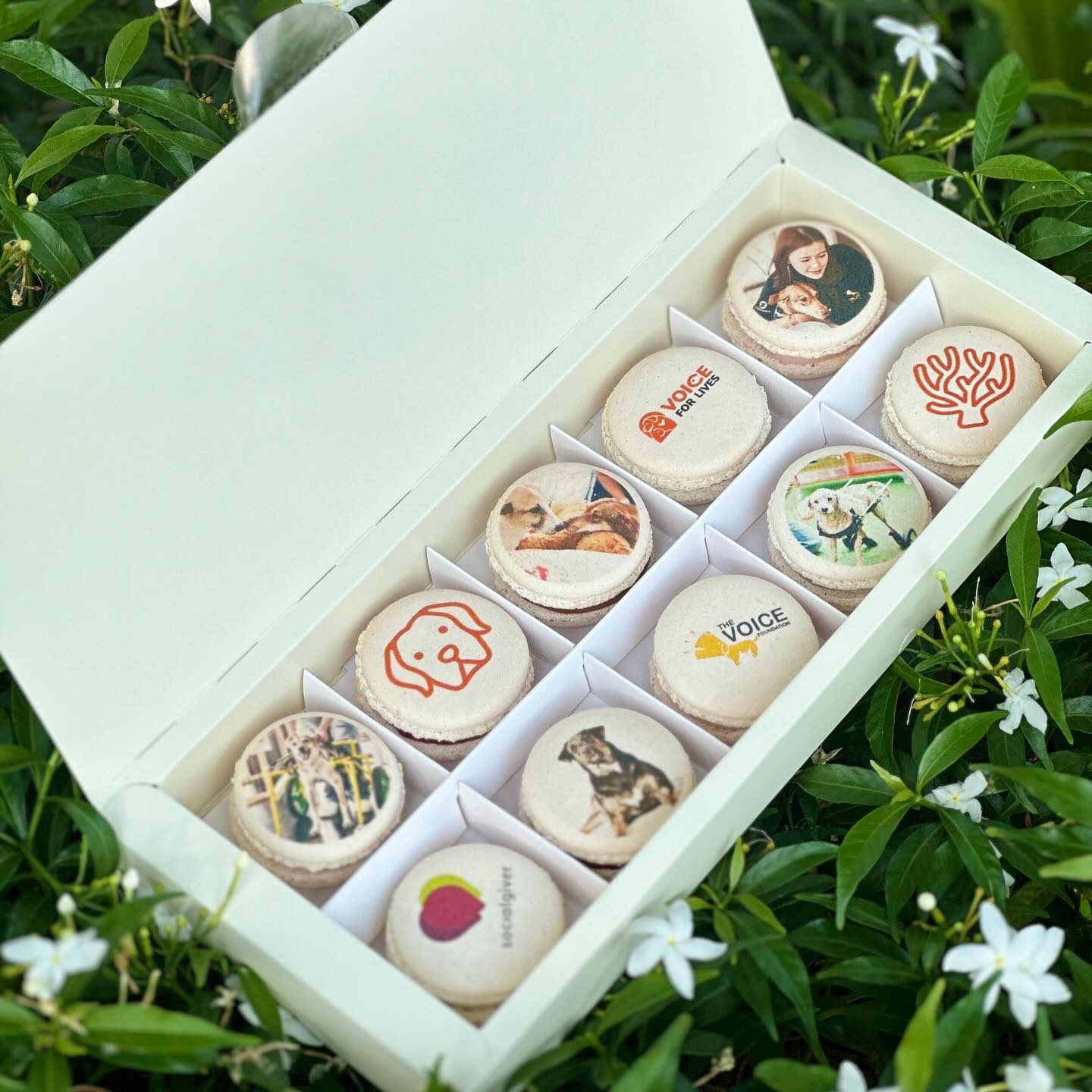 เก๋ - ชลลดา เมฆราตรี
