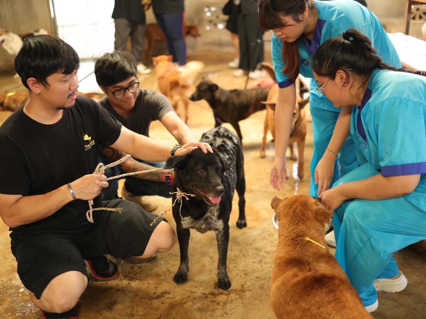 เก๋ - ชลลดา เมฆราตรี