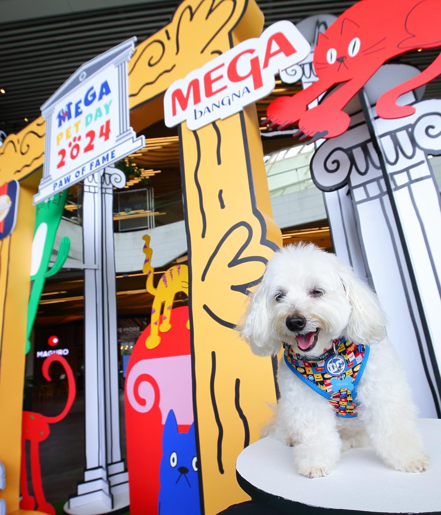 เก๋ - ชลลดา เมฆราตรี