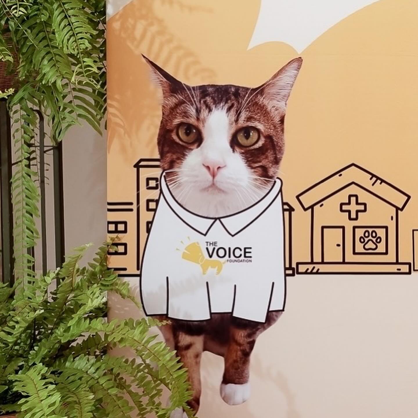 เก๋ - ชลลดา เมฆราตรี