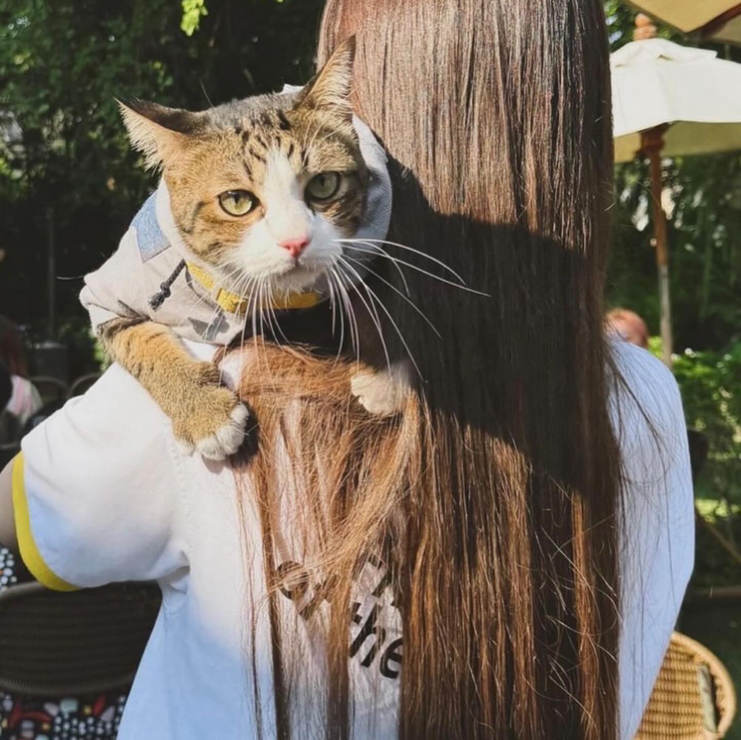 เก๋ - ชลลดา เมฆราตรี