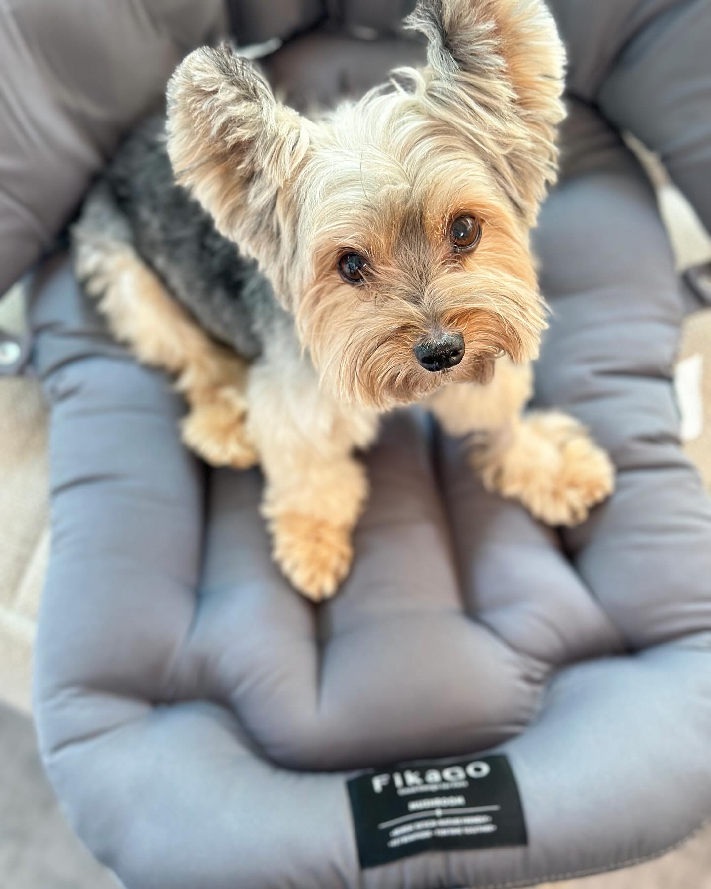 เก๋ - ชลลดา เมฆราตรี