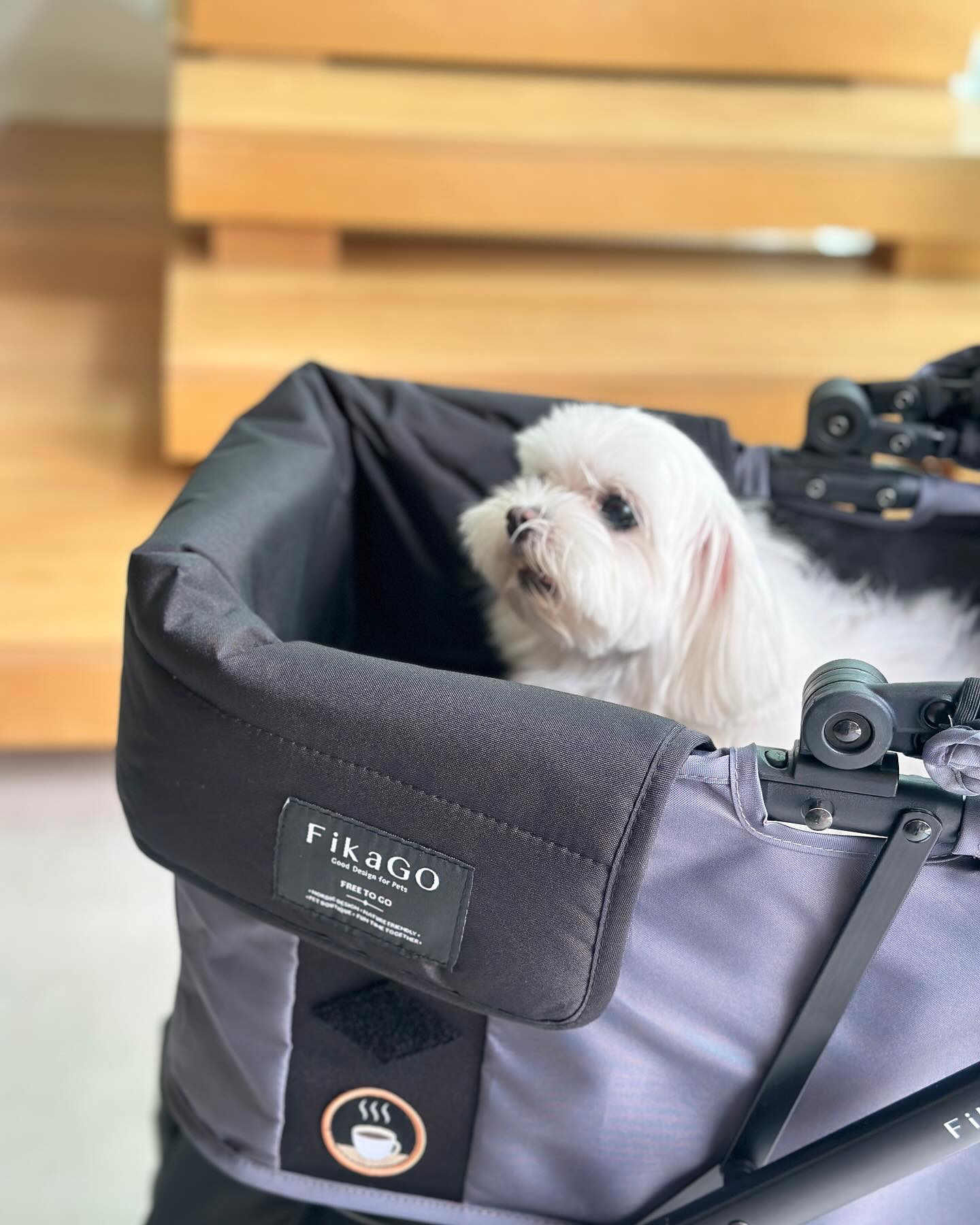 เก๋ - ชลลดา เมฆราตรี