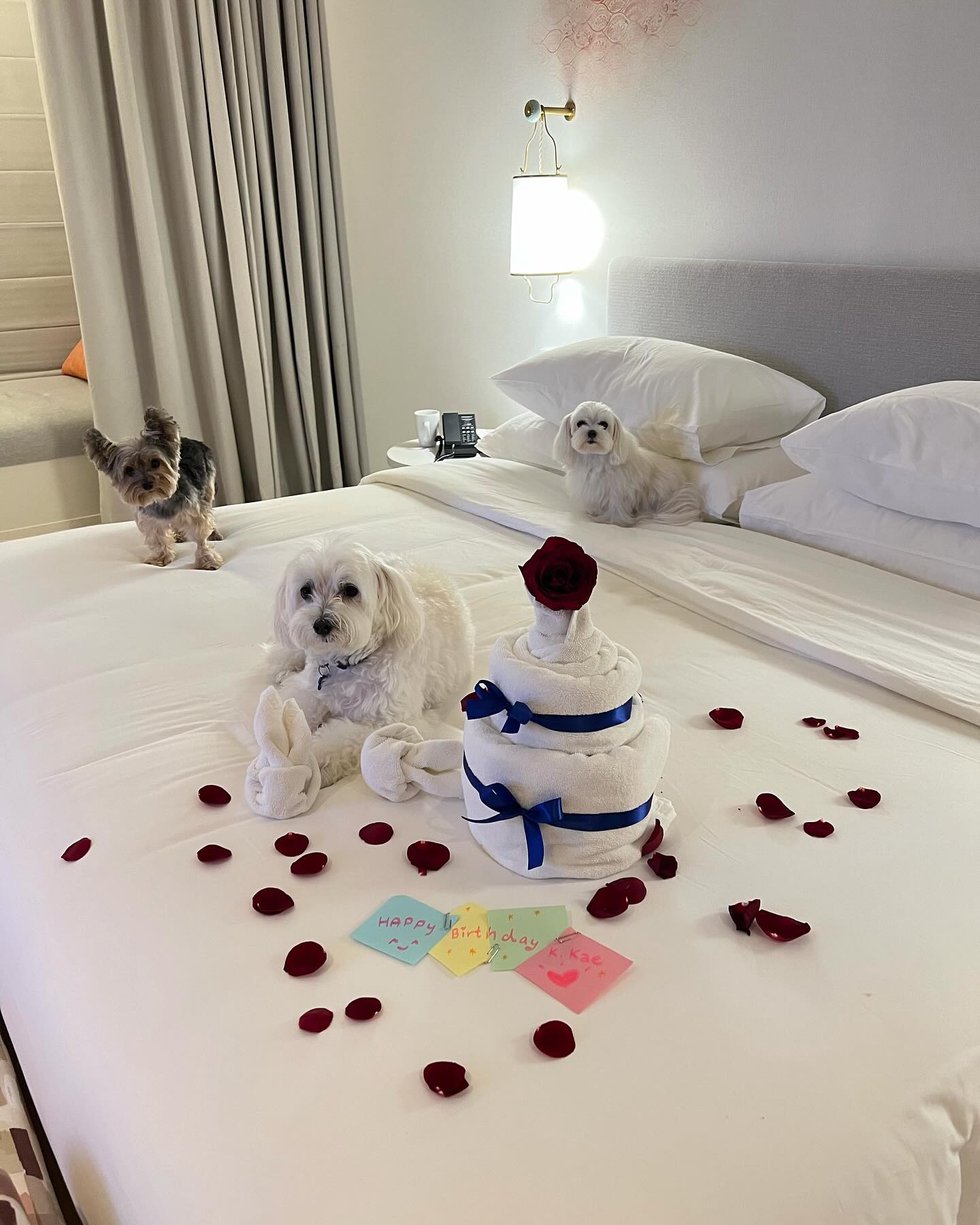 เก๋ - ชลลดา เมฆราตรี