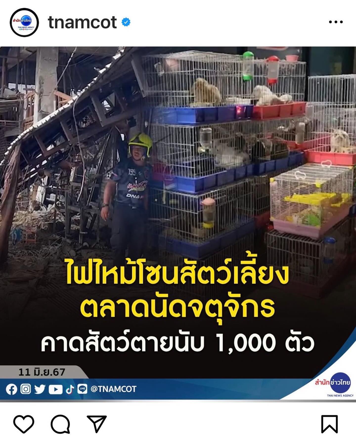 เก๋ - ชลลดา เมฆราตรี