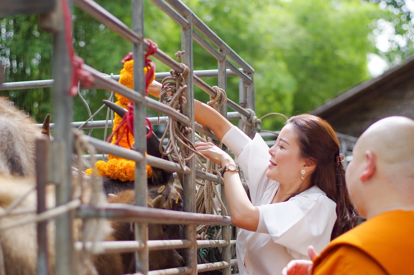 เก๋ - ชลลดา เมฆราตรี