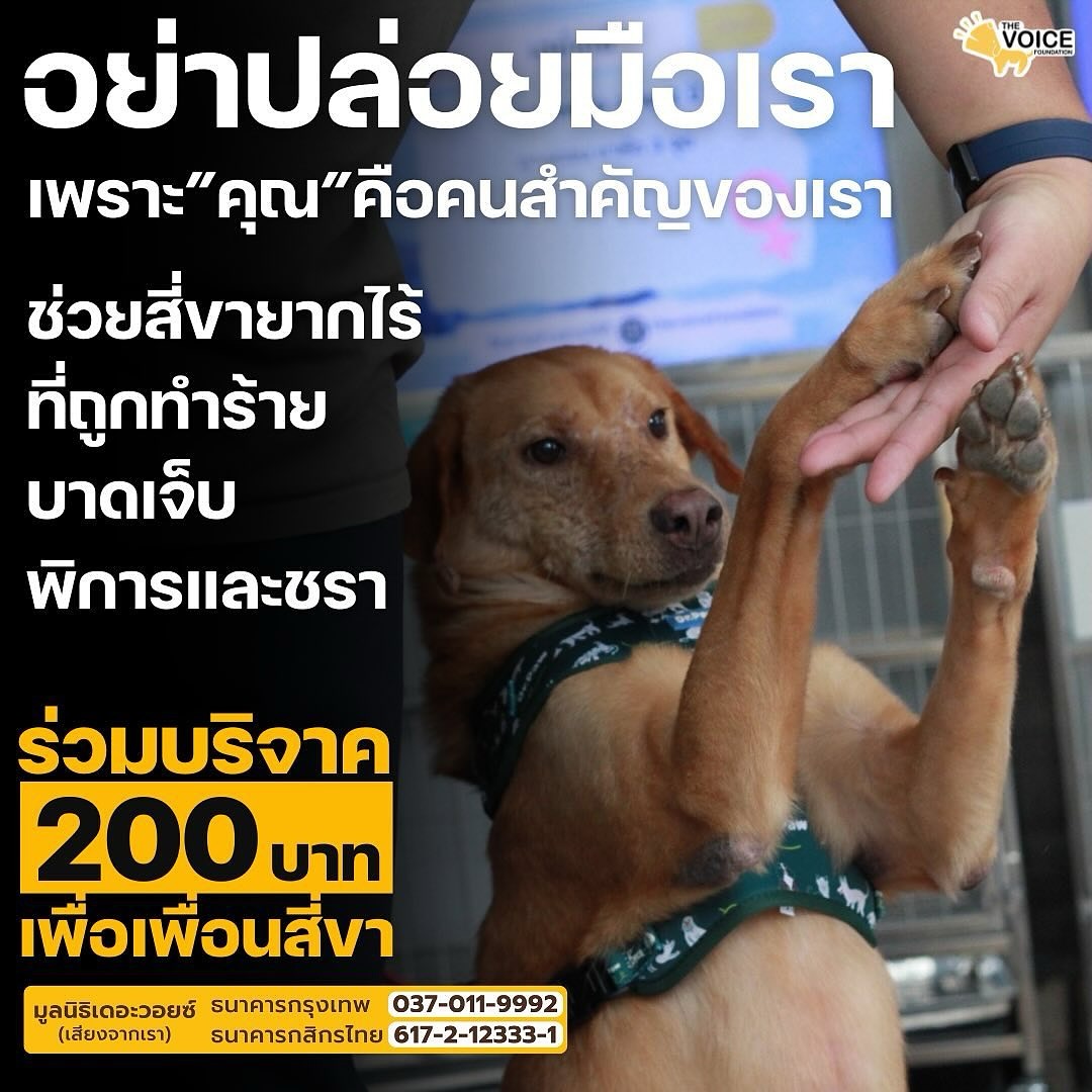 เก๋ - ชลลดา เมฆราตรี