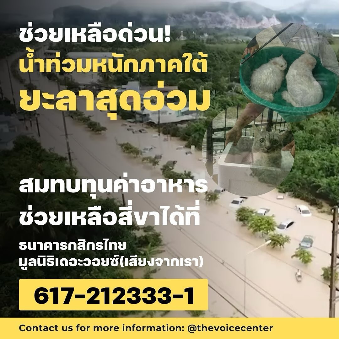 เก๋ - ชลลดา เมฆราตรี