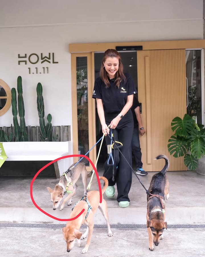 เก๋ - ชลลดา เมฆราตรี