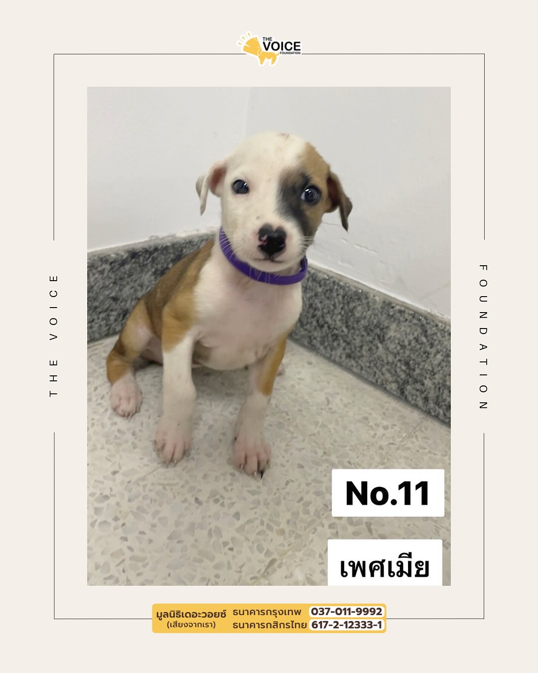 เก๋ - ชลลดา เมฆราตรี