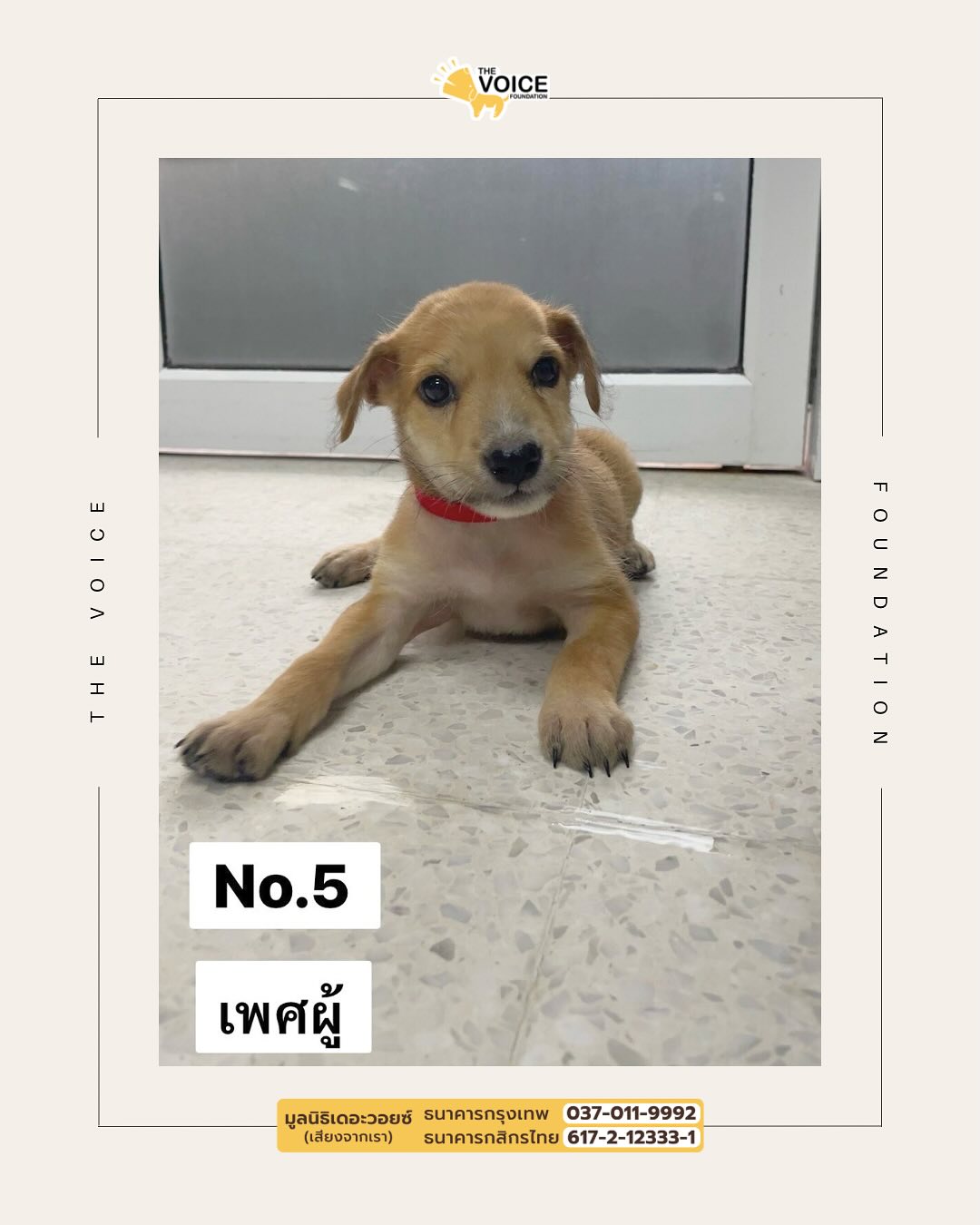 เก๋ - ชลลดา เมฆราตรี