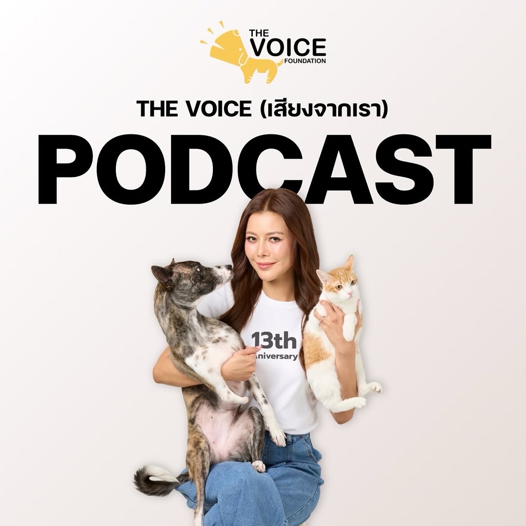 เก๋ - ชลลดา เมฆราตรี