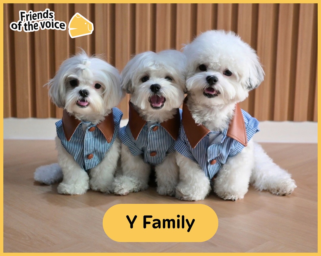 เก๋ - ชลลดา เมฆราตรี