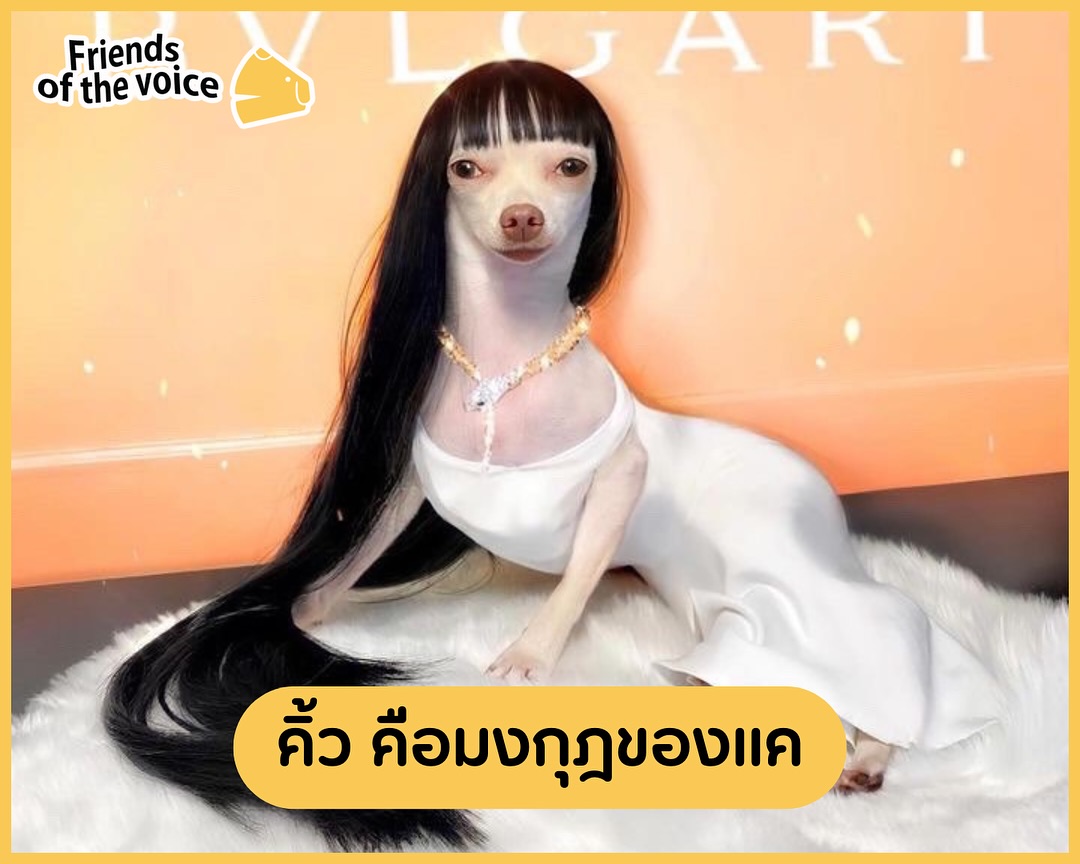 เก๋ - ชลลดา เมฆราตรี