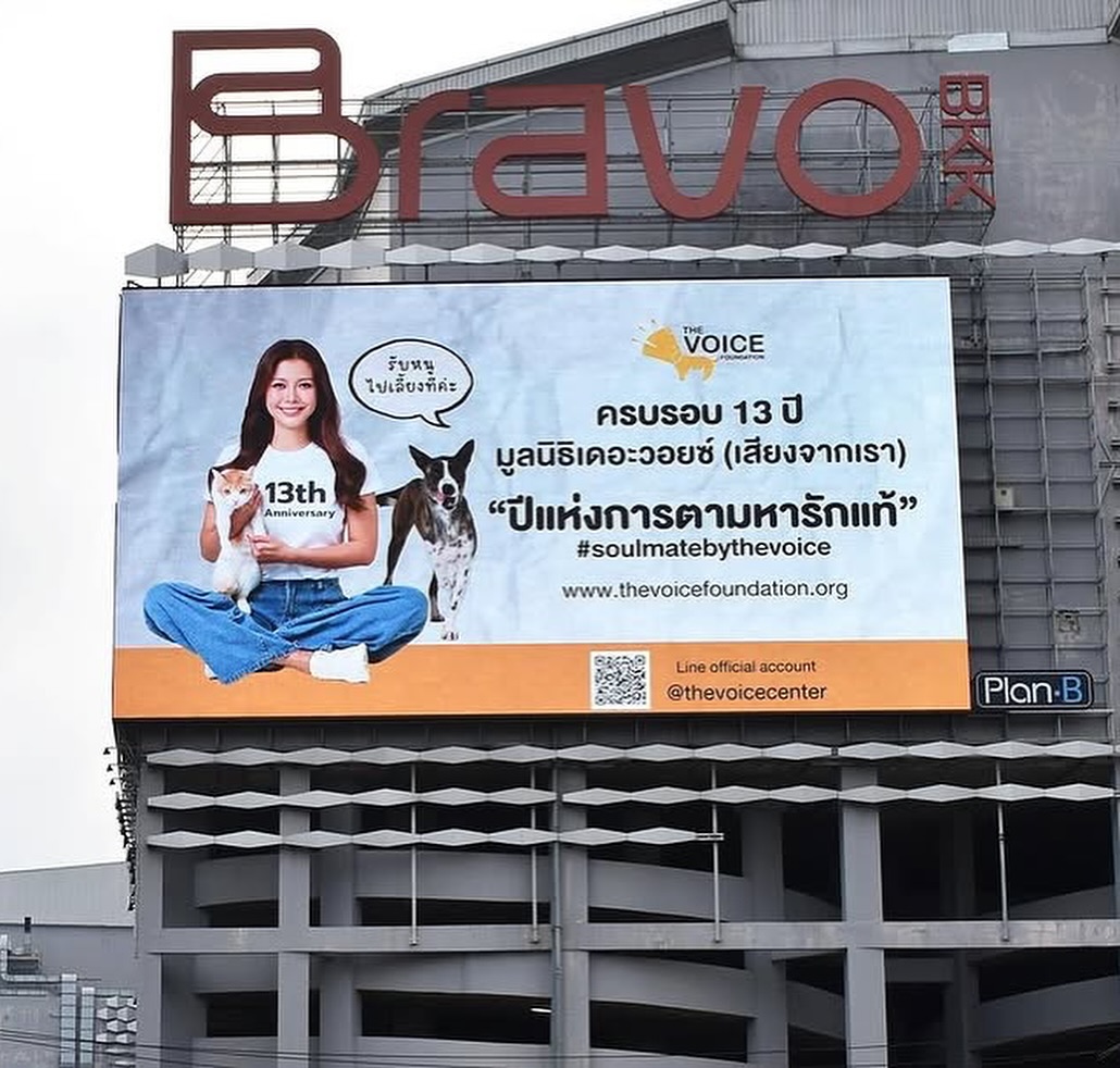 เก๋ - ชลลดา เมฆราตรี