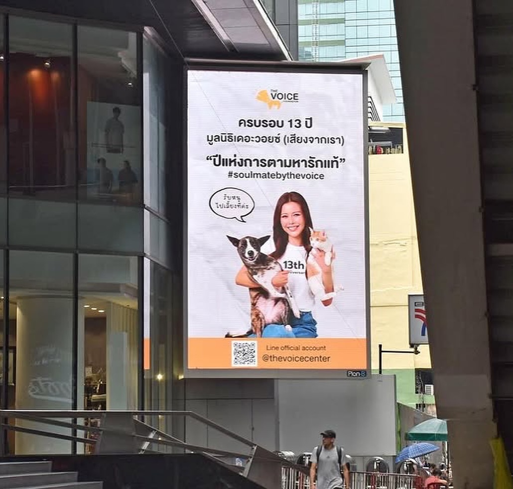 เก๋ - ชลลดา เมฆราตรี
