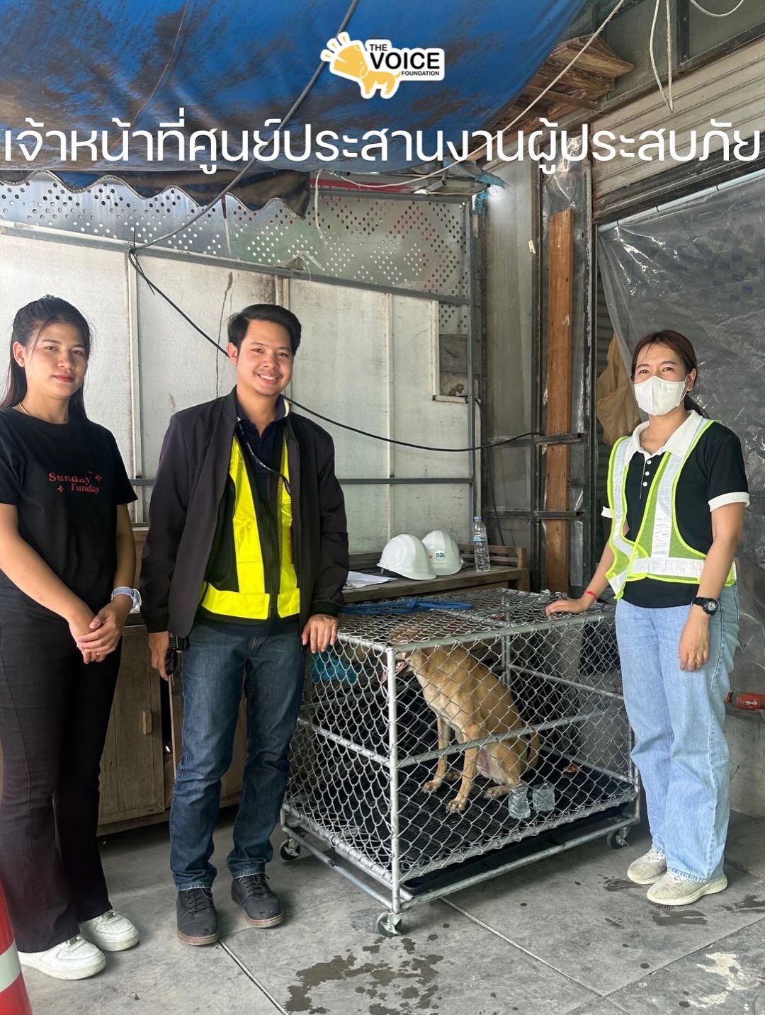 เก๋ - ชลลดา เมฆราตรี