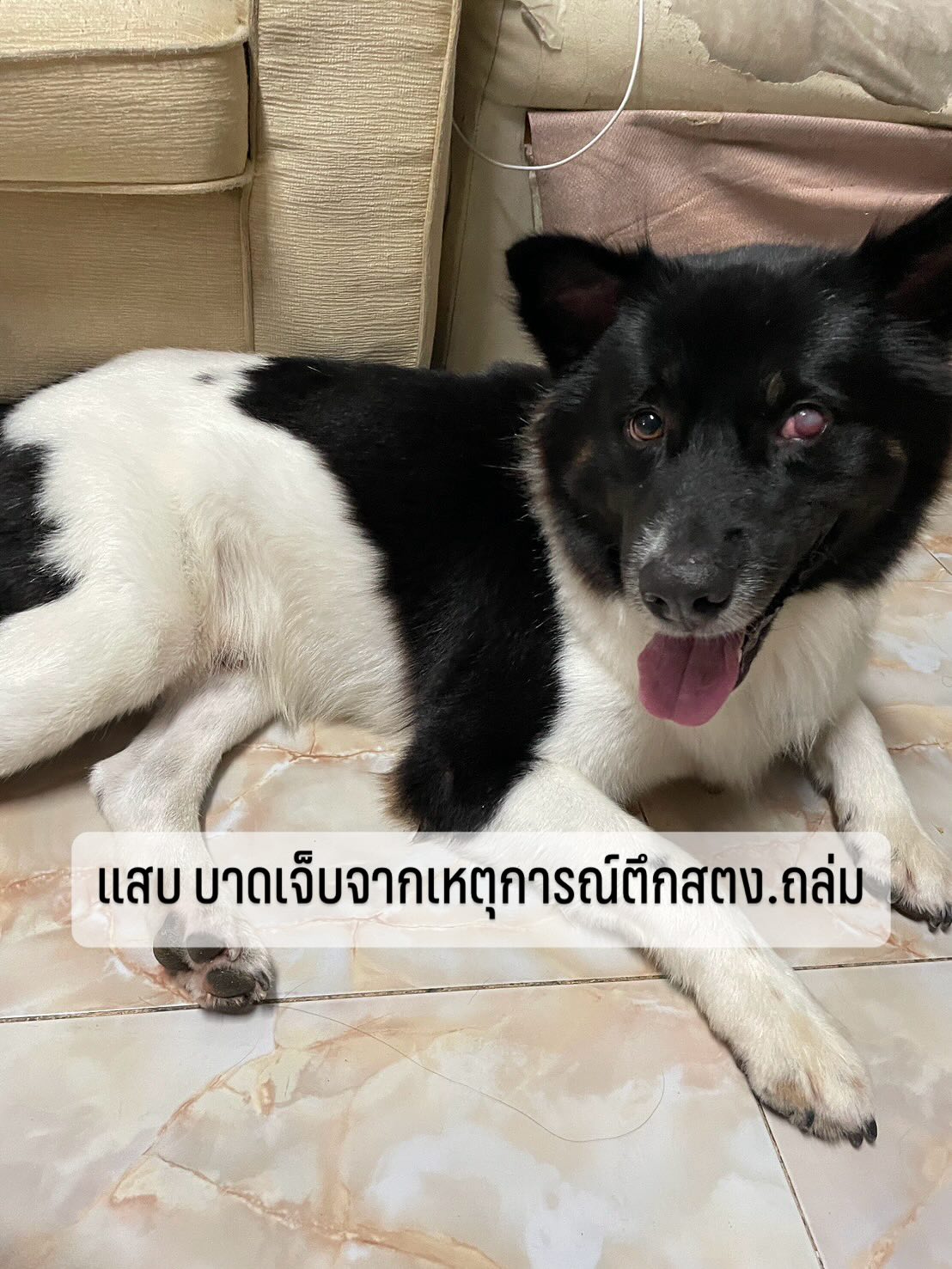 เก๋ - ชลลดา เมฆราตรี