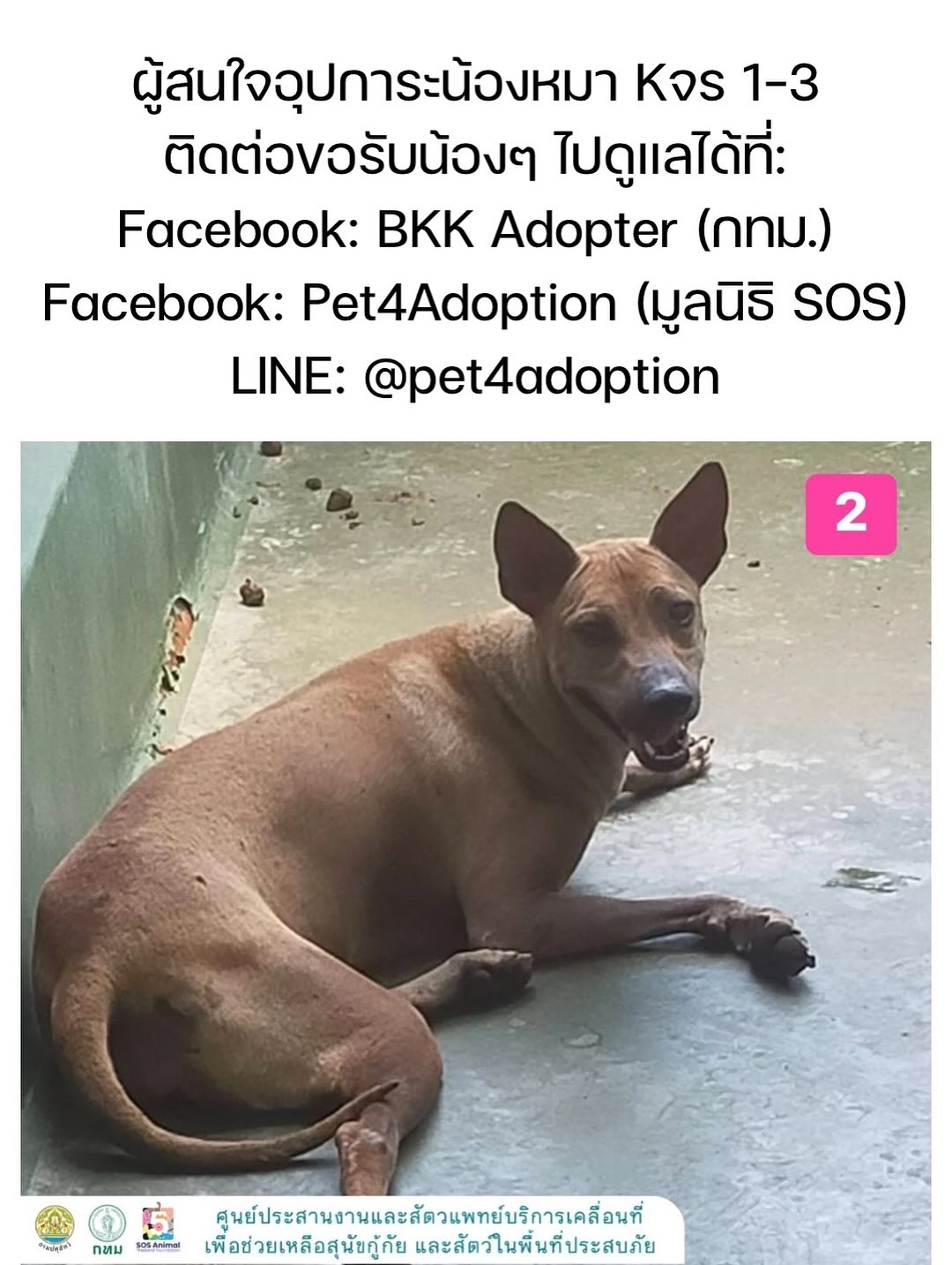 เก๋ - ชลลดา เมฆราตรี