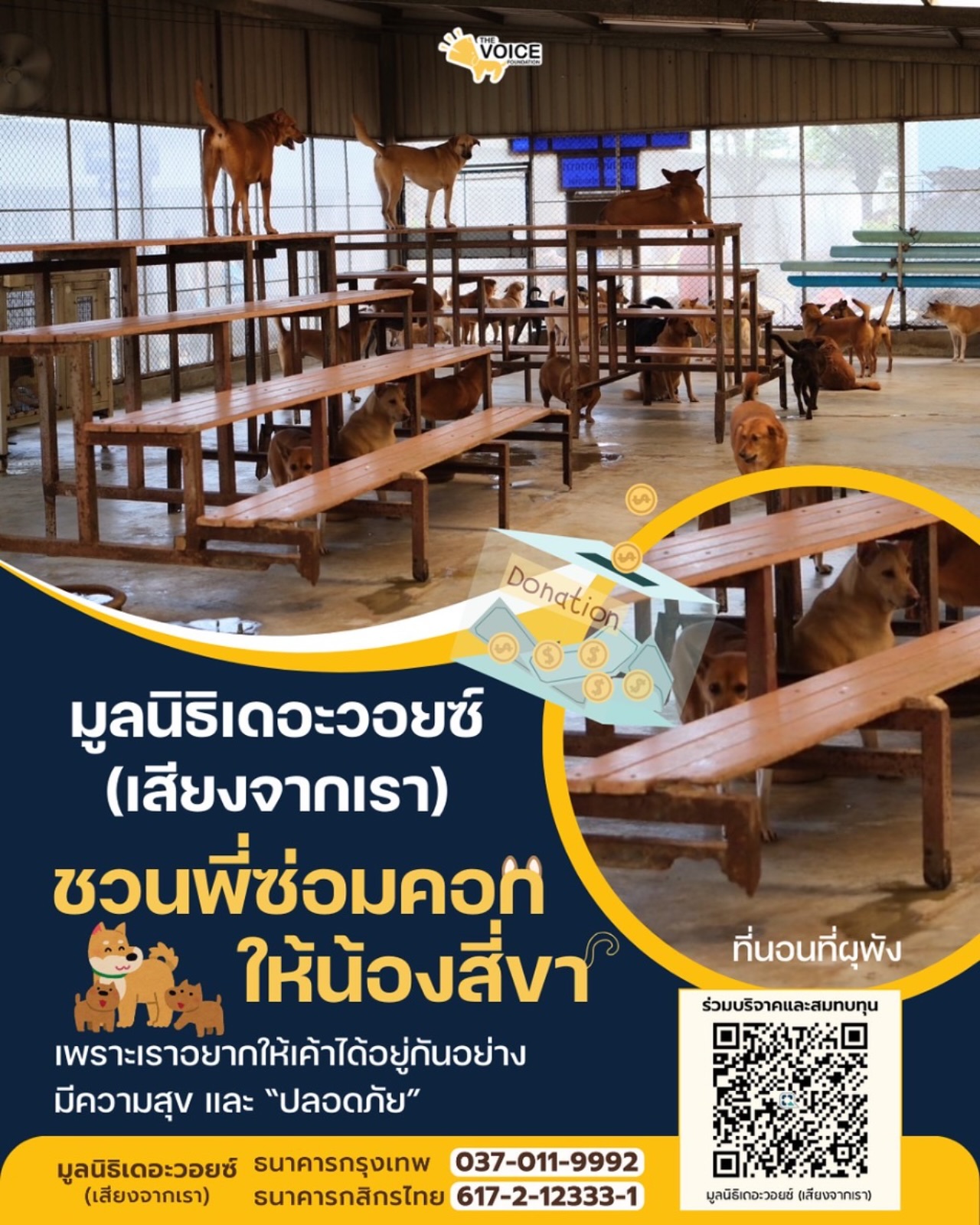 เก๋ - ชลลดา เมฆราตรี