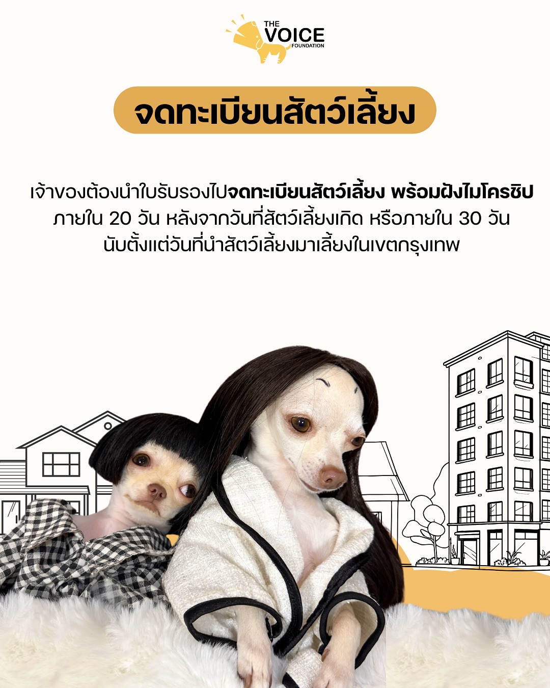 เก๋ - ชลลดา เมฆราตรี
