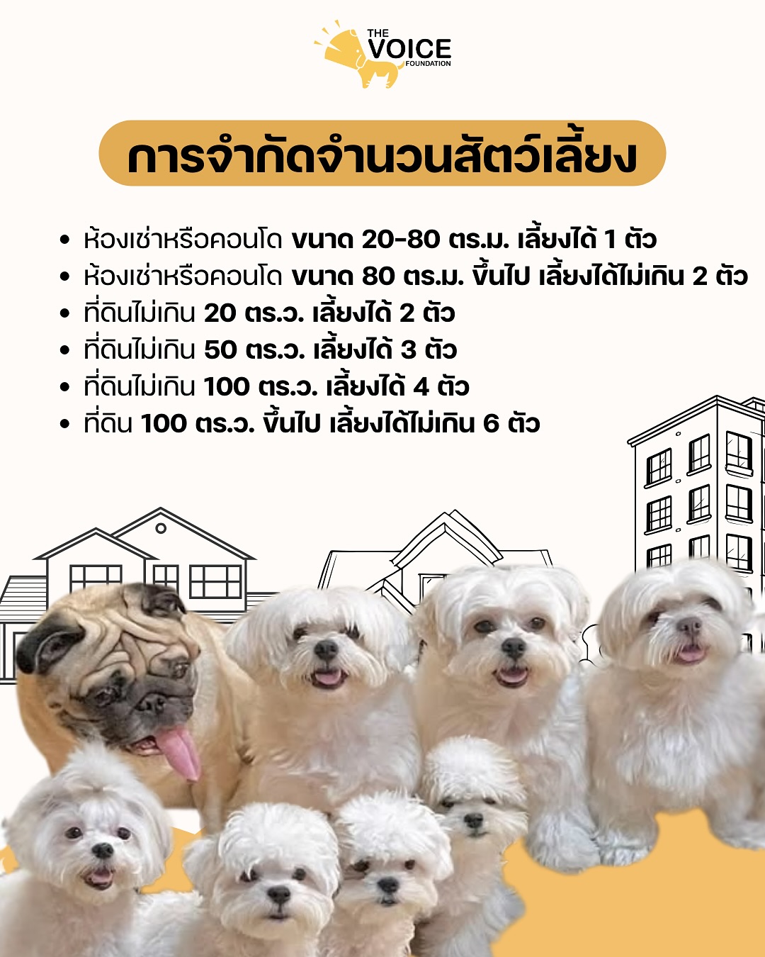 เก๋ - ชลลดา เมฆราตรี