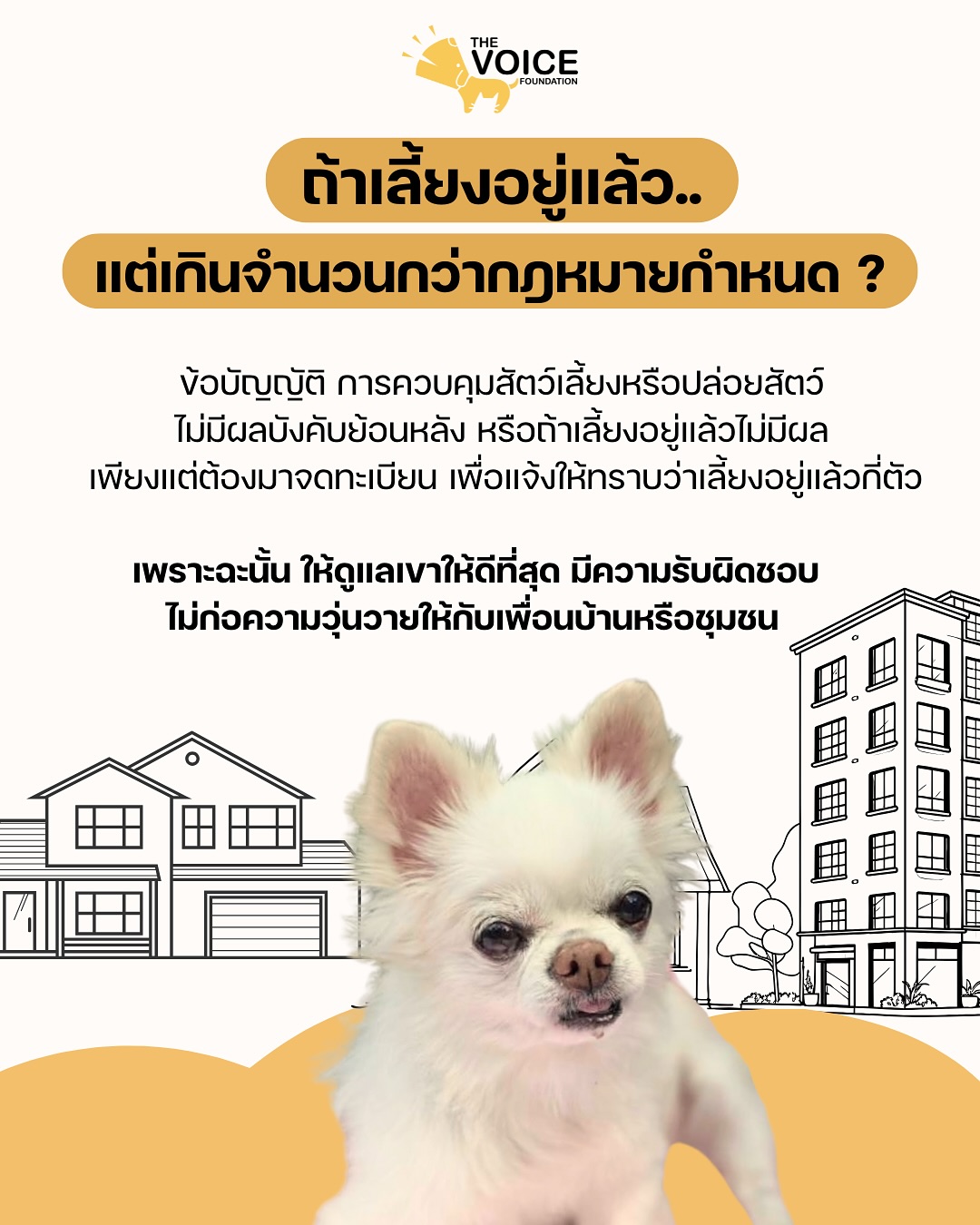 เก๋ - ชลลดา เมฆราตรี