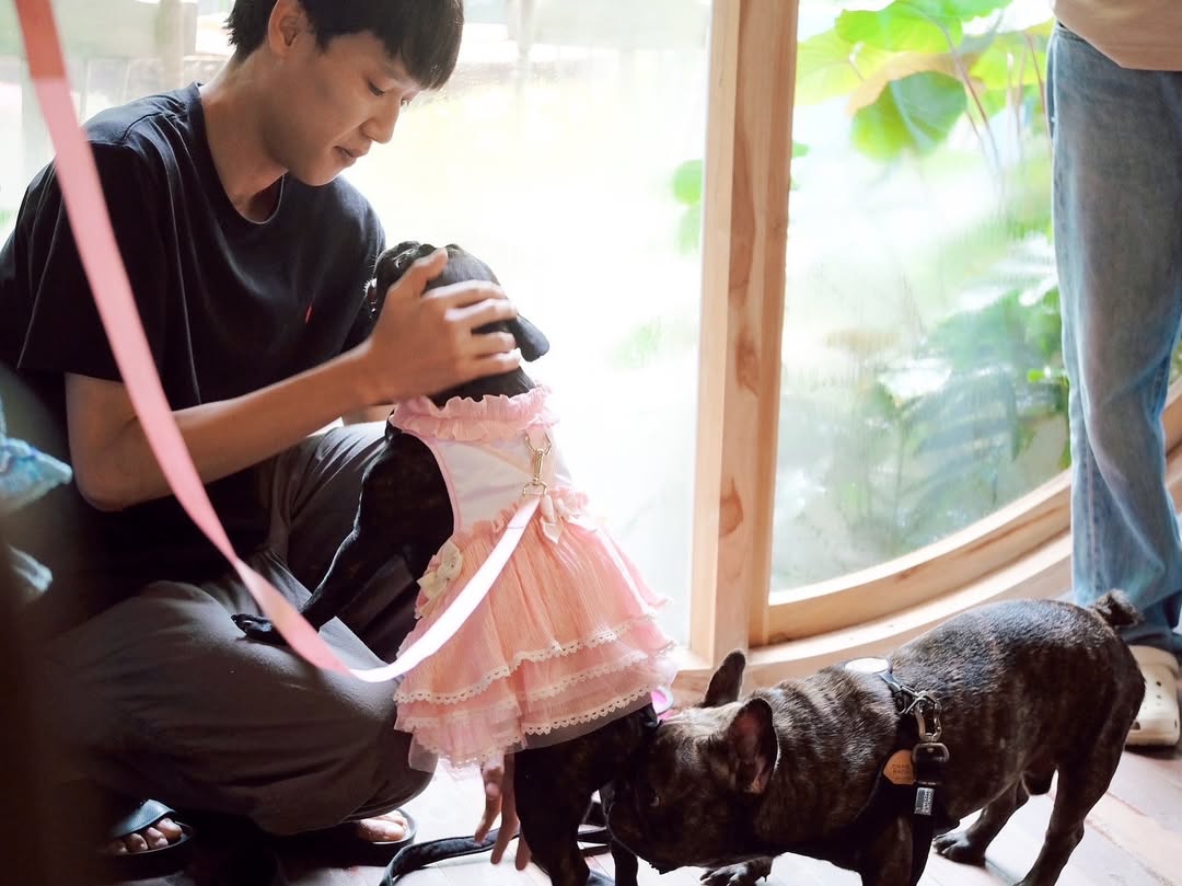 เก๋ - ชลลดา เมฆราตรี