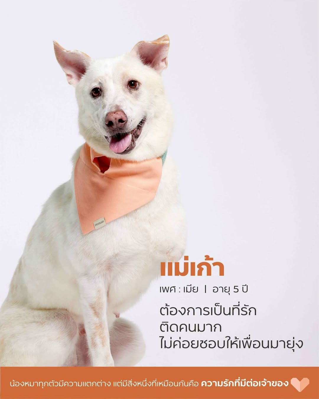 เก๋ - ชลลดา เมฆราตรี