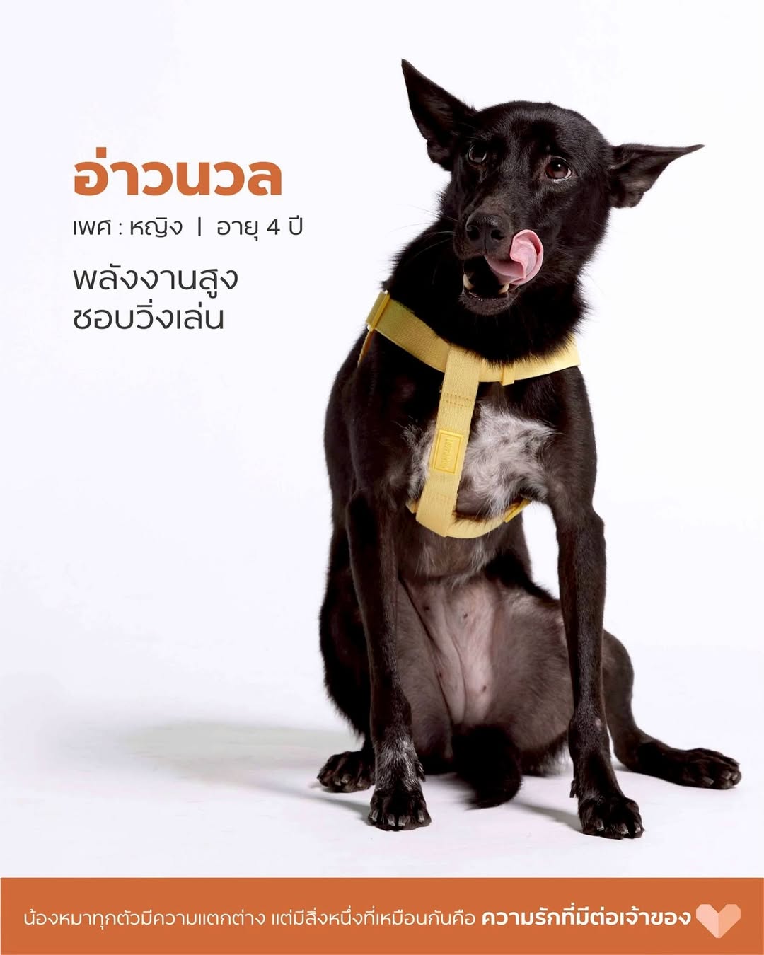เก๋ - ชลลดา เมฆราตรี