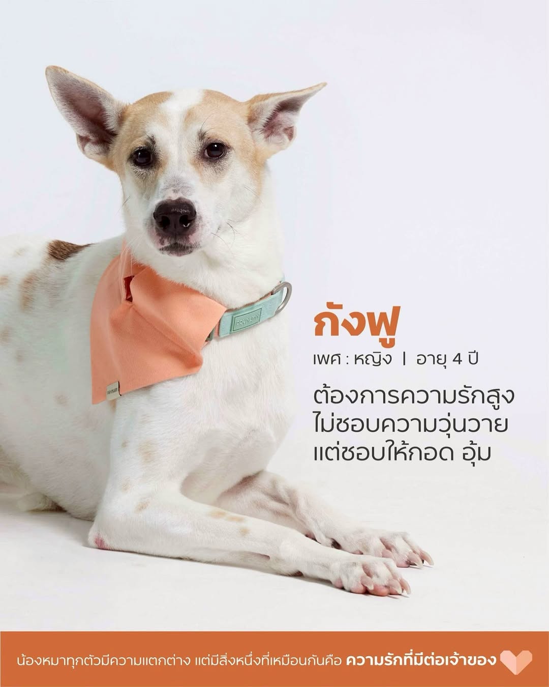 เก๋ - ชลลดา เมฆราตรี