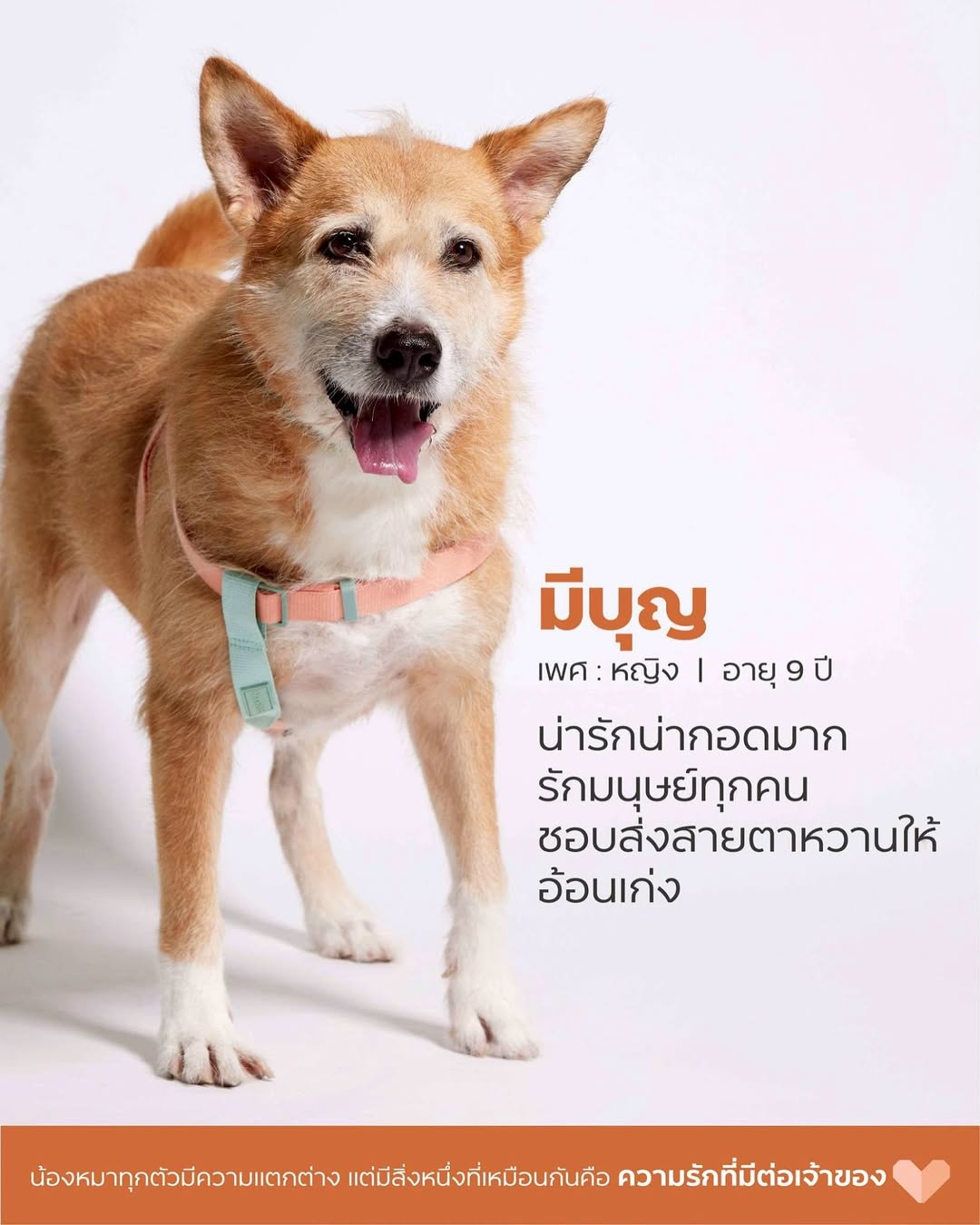 เก๋ - ชลลดา เมฆราตรี