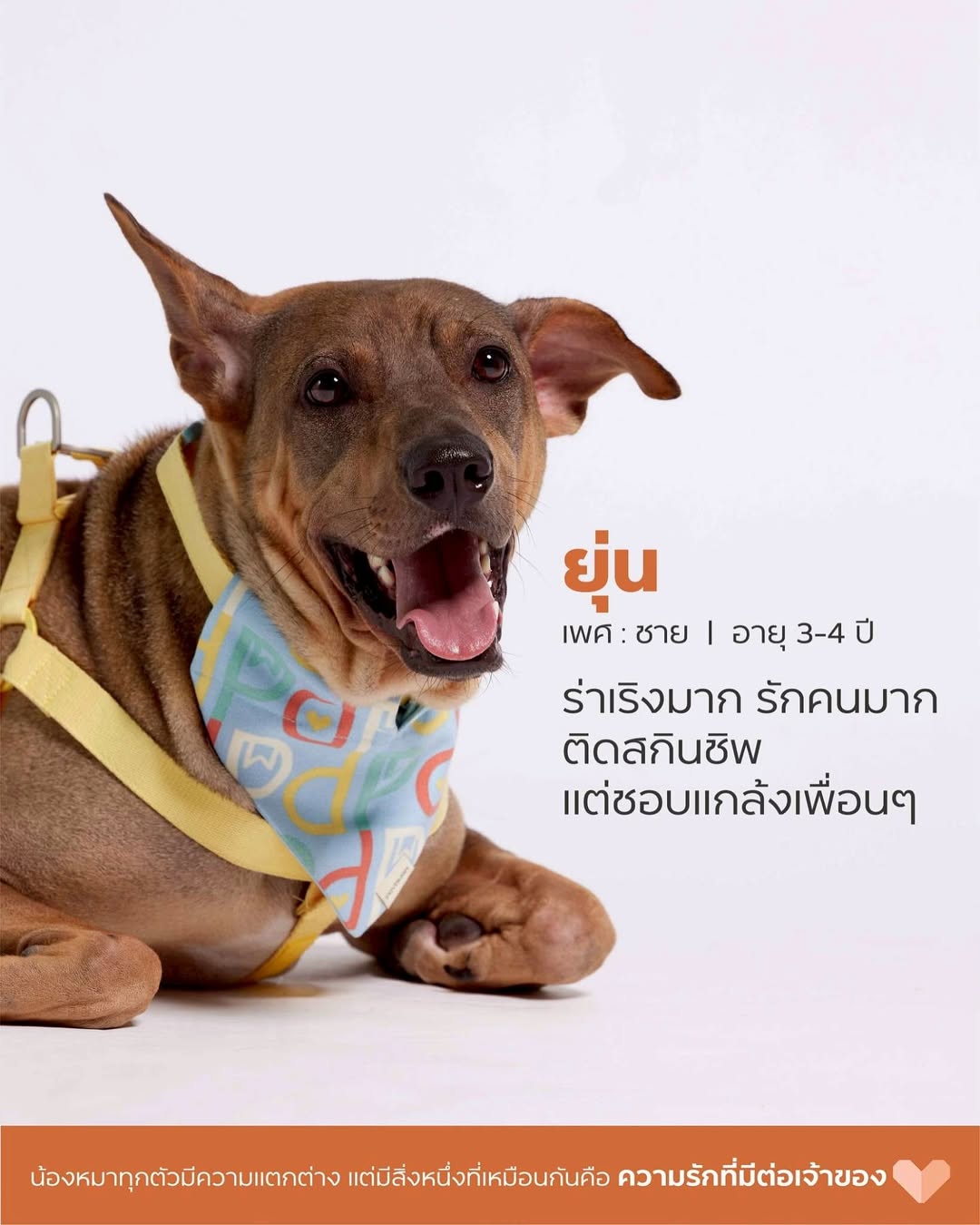 เก๋ - ชลลดา เมฆราตรี
