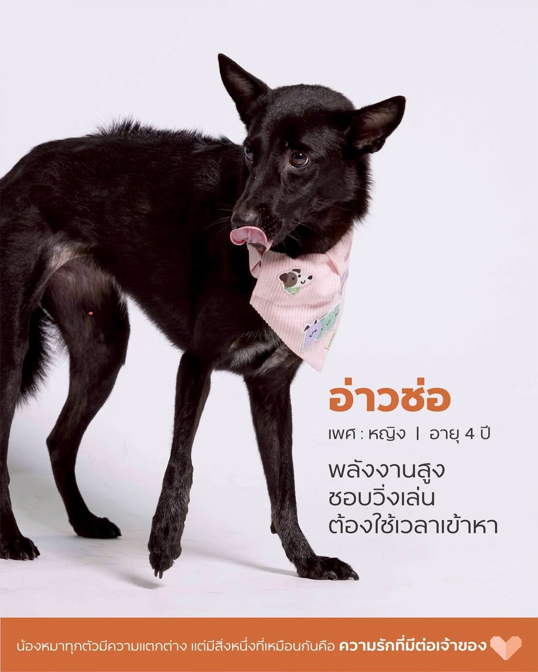 เก๋ - ชลลดา เมฆราตรี