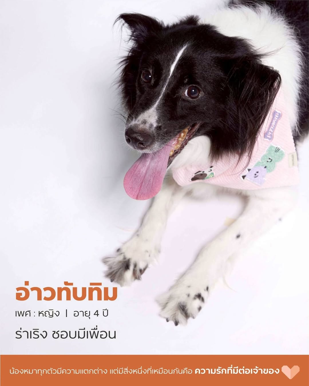 เก๋ - ชลลดา เมฆราตรี